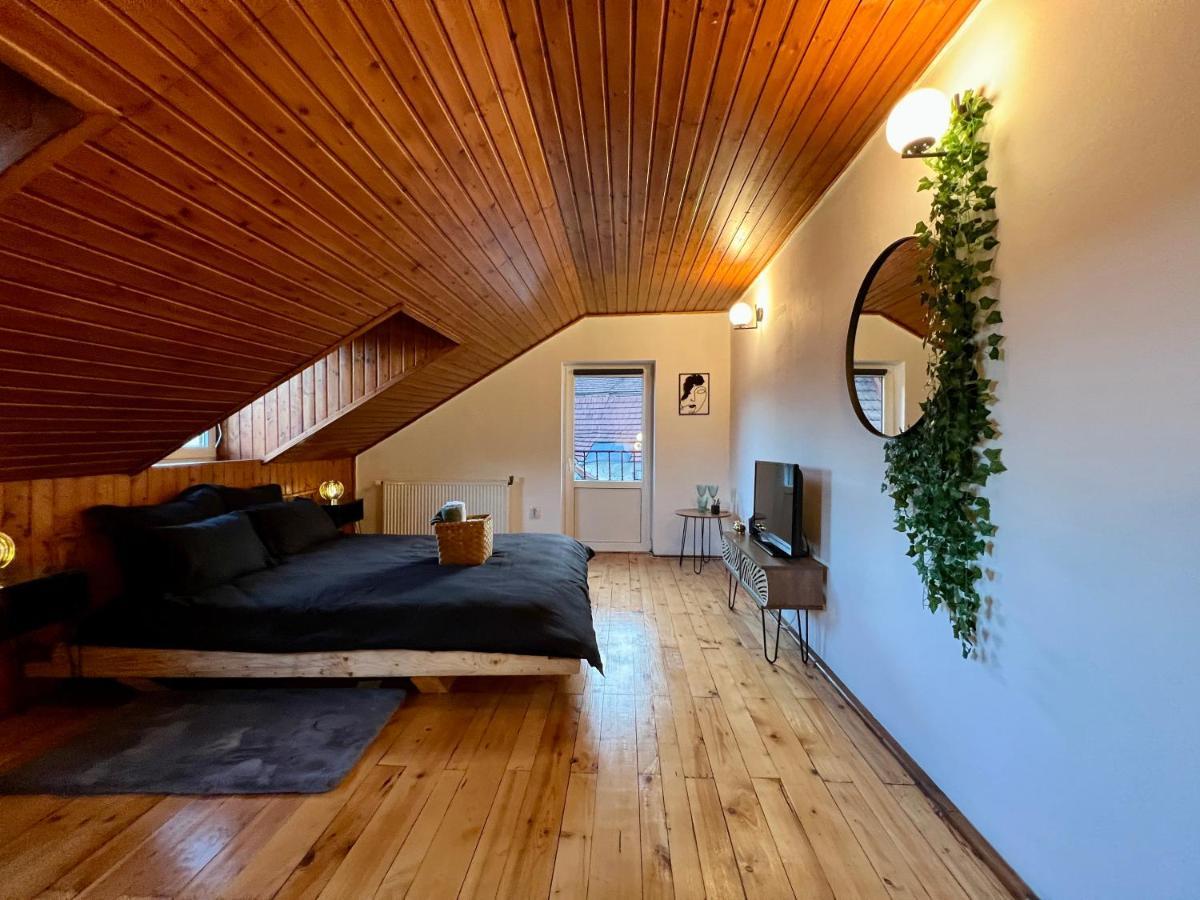 Nacada Studio By Hyco Διαμέρισμα Σιγκισοάρα Εξωτερικό φωτογραφία