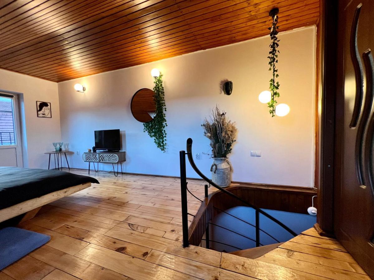 Nacada Studio By Hyco Διαμέρισμα Σιγκισοάρα Εξωτερικό φωτογραφία